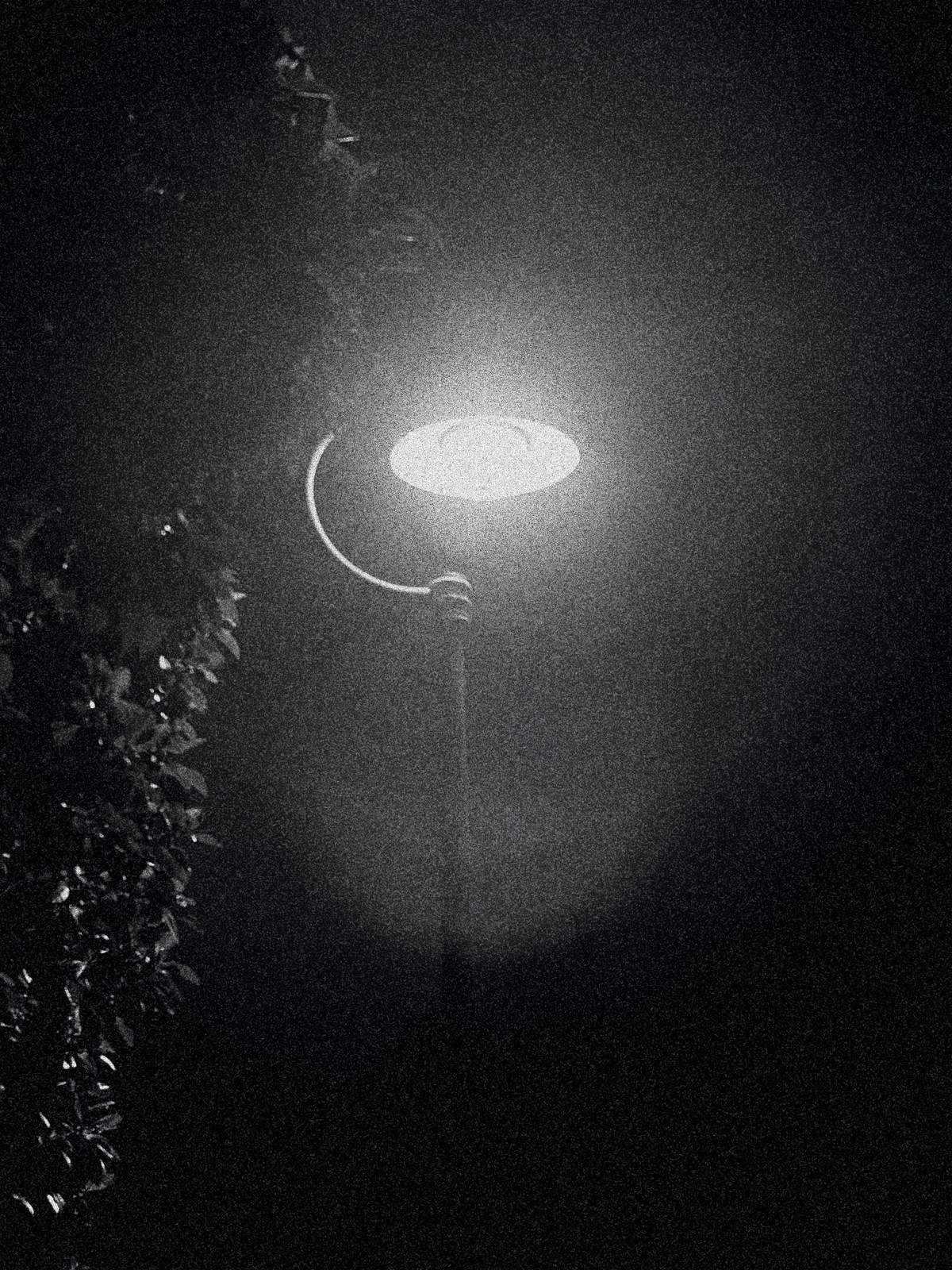 Street lamp lighting the dark.