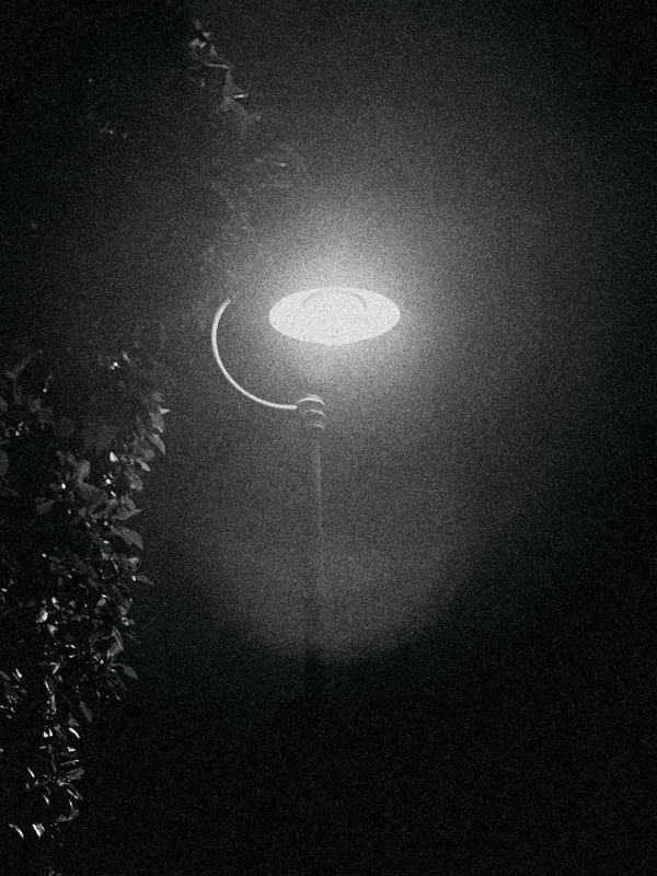 Street lamp lighting the dark.